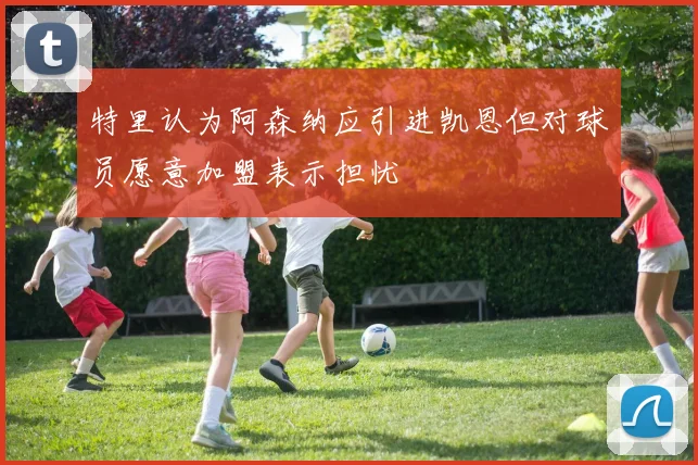 特里认为阿森纳应引进凯恩但对球员愿意加盟表示担忧