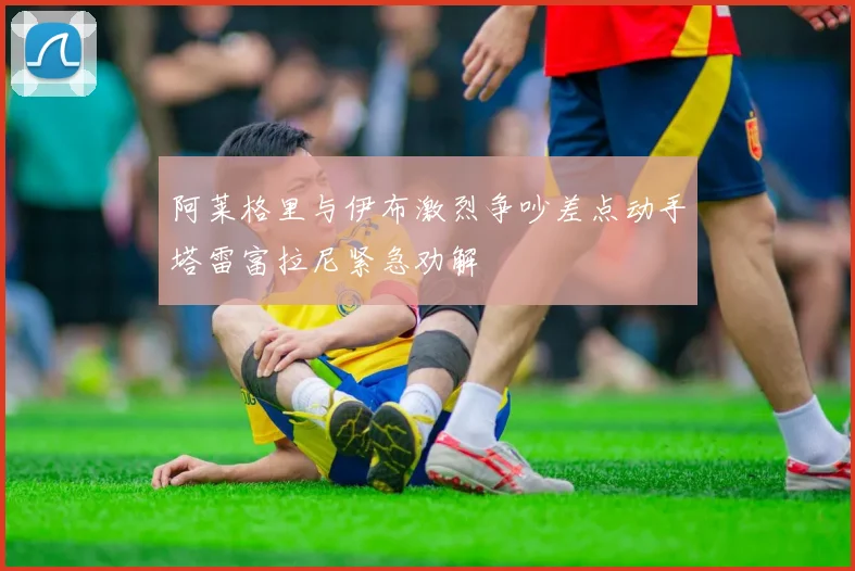 阿莱格里与伊布激烈争吵差点动手塔雷富拉尼紧急劝解