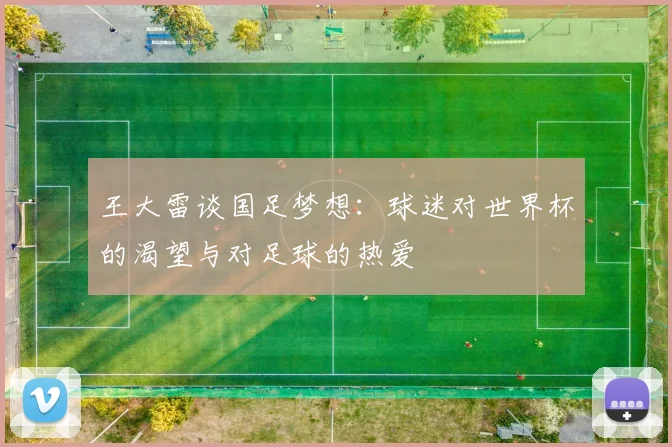 王大雷谈国足梦想：球迷对世界杯的渴望与对足球的热爱